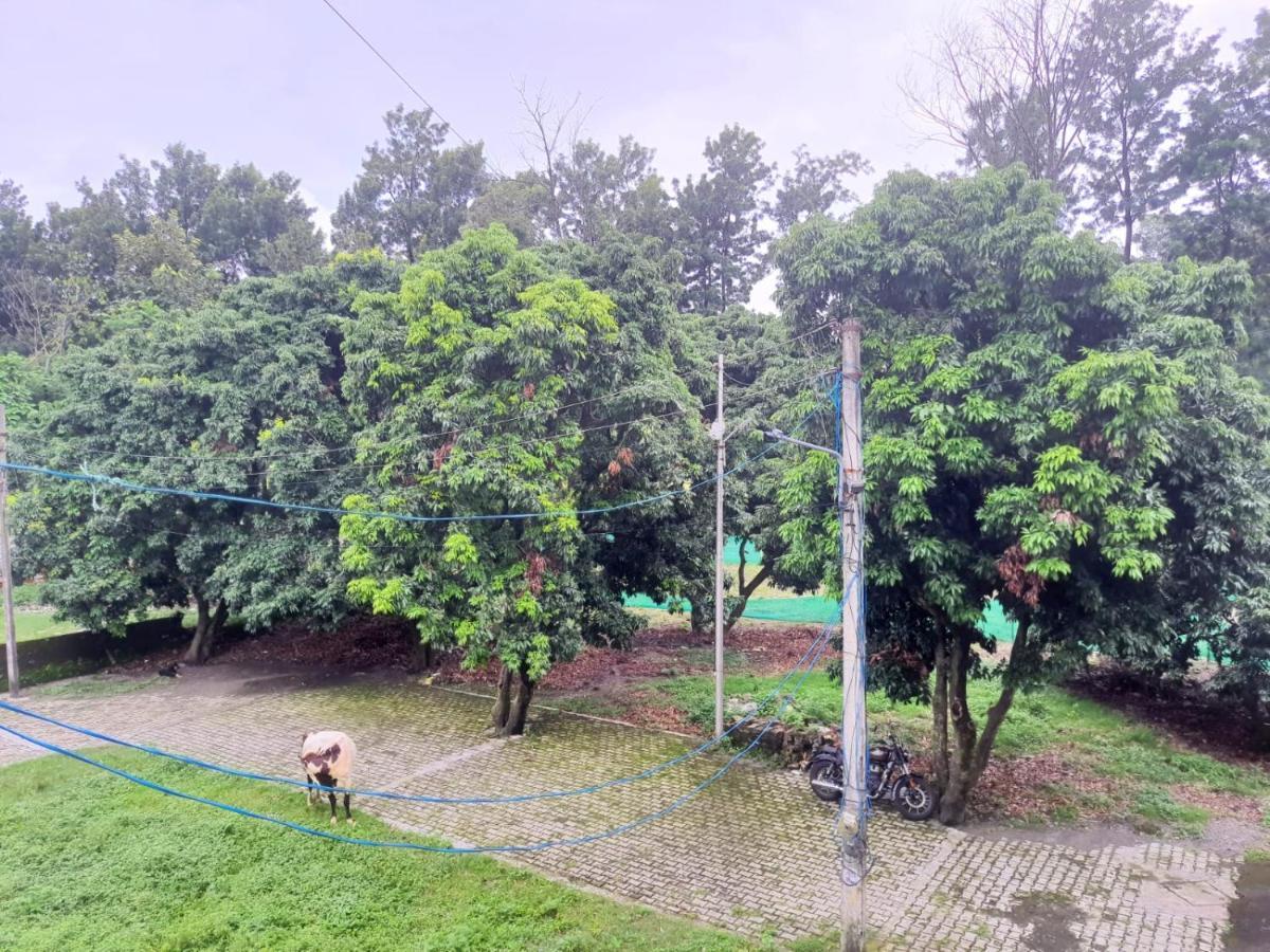 Nature View Homestay Dehradun Ngoại thất bức ảnh